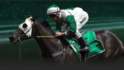 逆势而上：全球变革下的中国应对之道 第一集